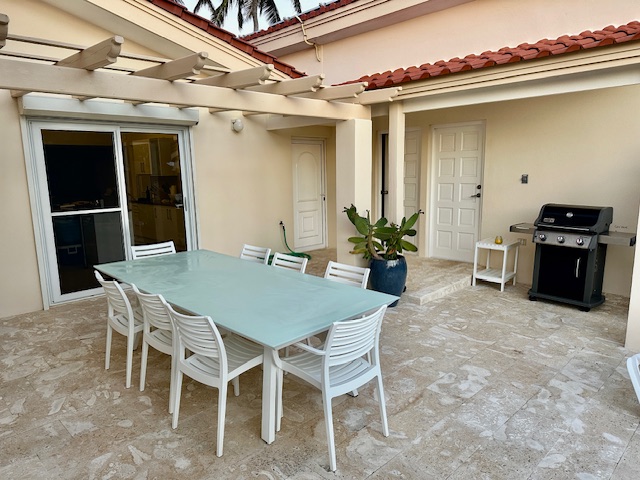 Back Patio Table and BBQ